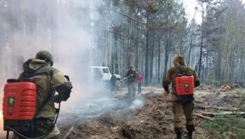 На помощь пришли добровольцы: борьба с крупными лесными пожарами в Тюменской области