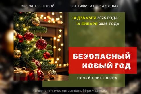 Викторина «Безопасный Новый год» (2025)