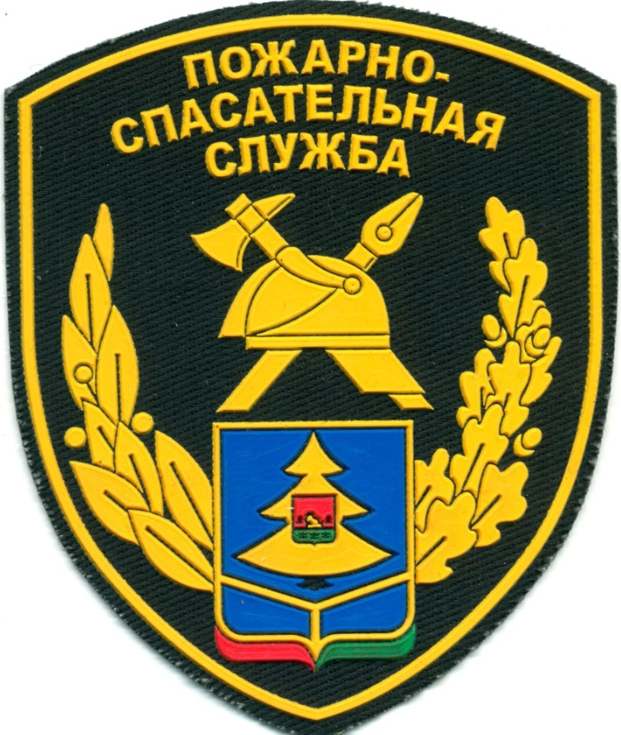 ПОЖ СПАС СЛУЖБА БРЯНСК