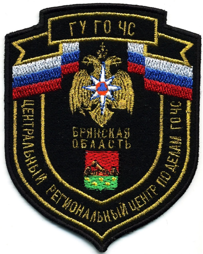 ЦРЦ ГУ ГО ЧС БРЯНСКАЯ ОБЛАСТЬ