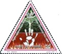 Кампания против лесных пожаров (Алжир. 23.03.2021г.)