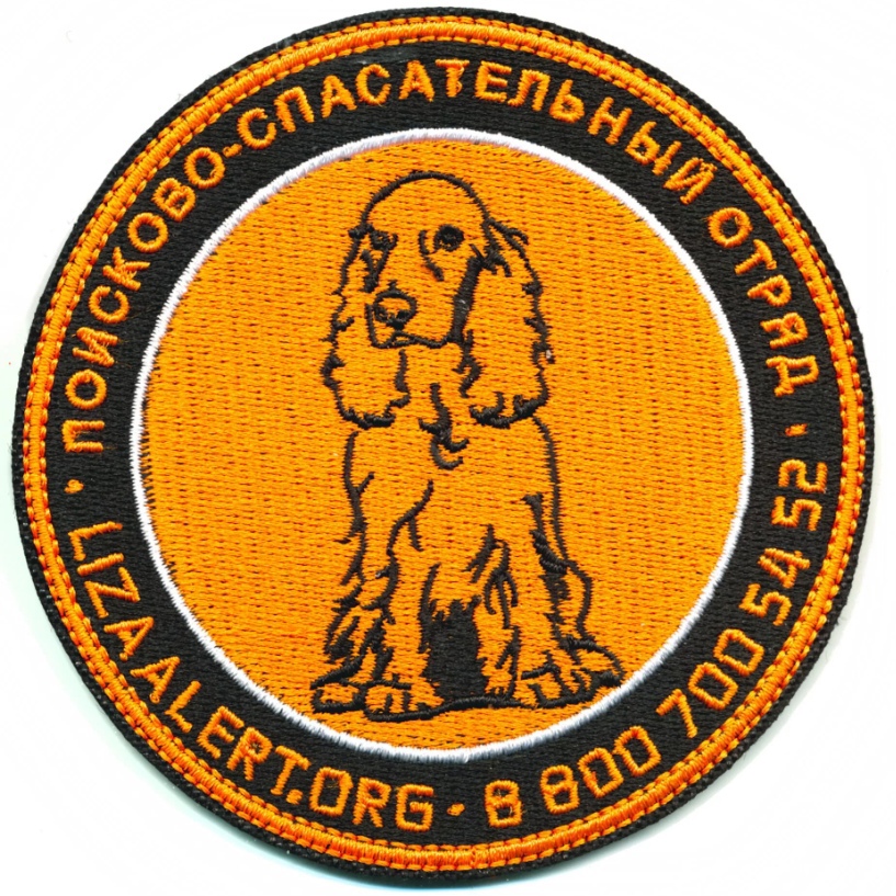 LIZAALERT.ПСО