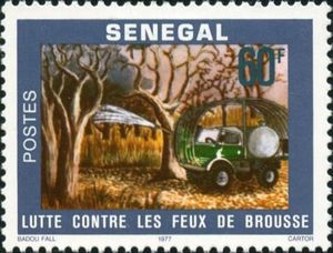 Лесной пожар. (Сенегал. 30.04.1977г.)