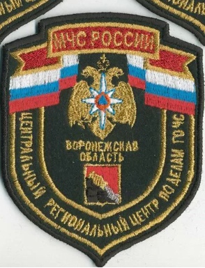 ЦРЦ ПО ДЕЛАМ ГО ЧС Воронежская область