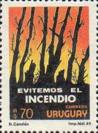 Сгоревший лес (Уругвай. 26.10.1990г.)