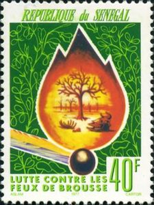 Лесной пожар. (Сенегал. 30.04.1977г.)