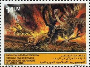 Лесной пожар (Мавритания. 09.04.1985г.)