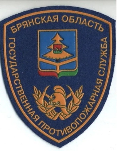 ГПС Брянская Об-ть