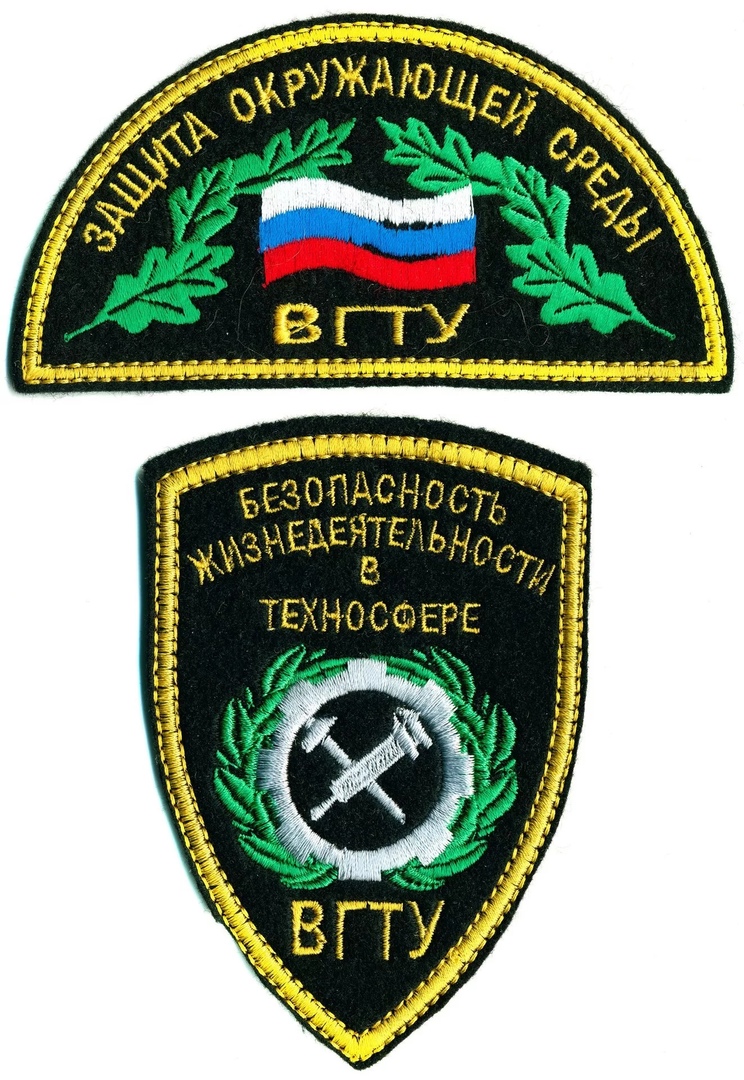 ВГТУ БЕЗОПАСНОСТЬ ЖИЗНЕДЕЯТЕЛЬНОСТИ В ТЕХНОСФЕРЕ