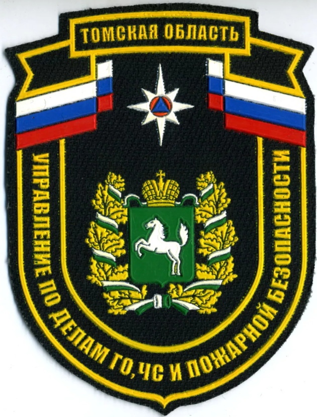 Управление по делам ГО ЧС и ПБ Томская об-ть