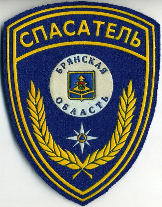 СПАСАТЕЛЬ БРЯНСКАЯ ОБЛАСТЬ