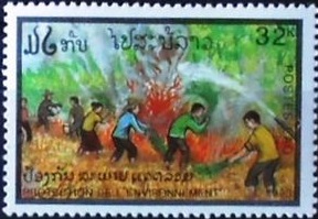 Лесной пожар (Лаос. 25.09.1993г.)