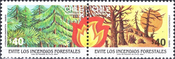 Лесной пожар (Чили. 27.12.1985г.)