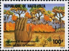 Лесной пожар (Верхняя Вольта. 15.09.1983г.)