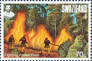 Лесной пожар (Свазиленд. 30.04.1977г.)