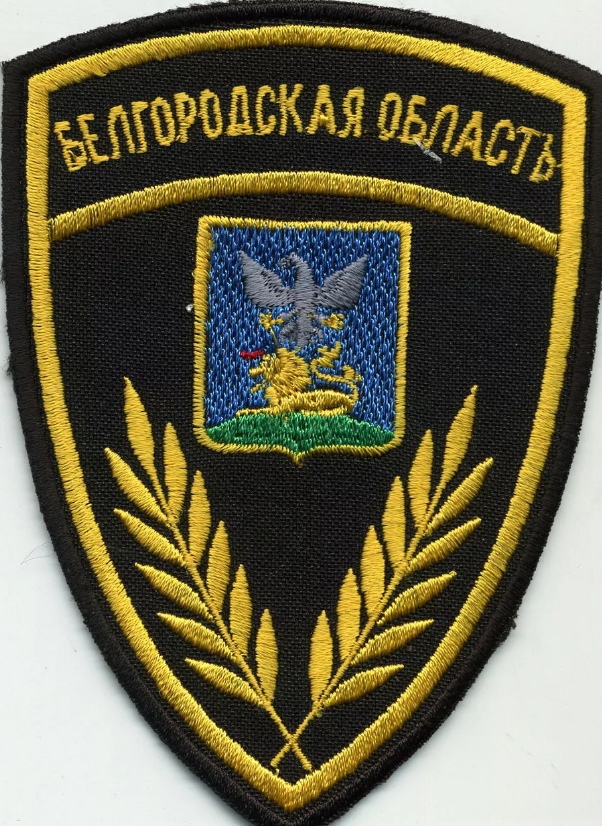 ДОБРОВОЛЬНАЯ ПОЖАРНАЯ ОХРАНА Белгородская область 2