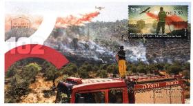 Тушение лесного пожара (Израиль. КПД. 2021г.)