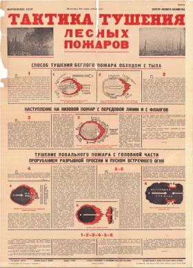 Тактика тушения лесных пожаров