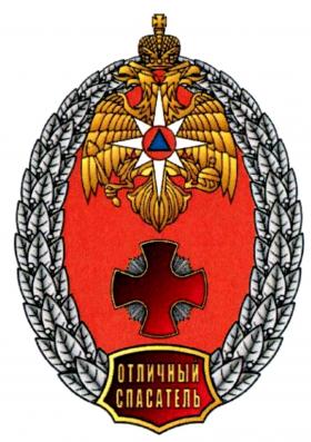 Нагрудный знак МЧС России 