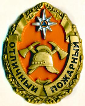 Нагрудный знак МЧС России 