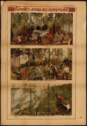 Борьба с лесными пожарами