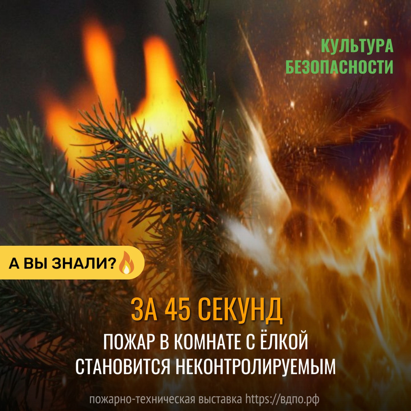 Новогодняя ёлка – это пороховая бочка  Сухая ель или сосна вспыхивает как факел&nbsp; за 10-15 секунд . Пламя по ней......