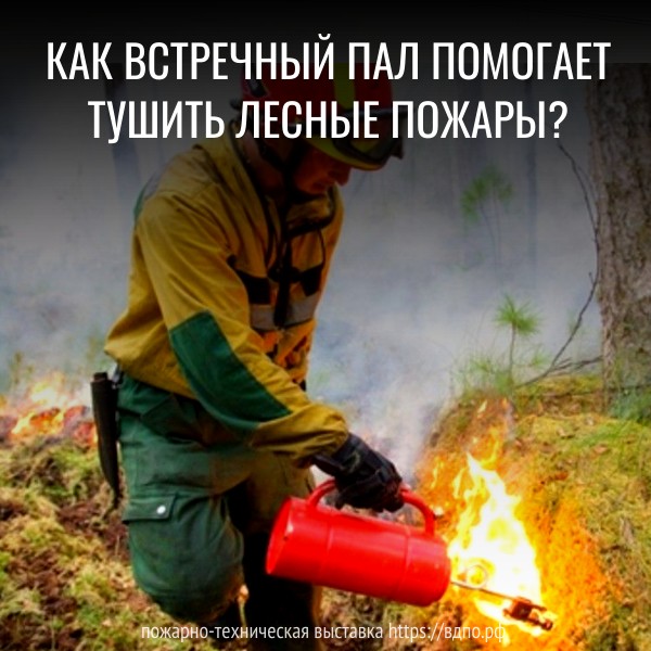 Метод тушения лесных пожаров отжигом   Встречный пал  – является наиболее эффективным способом, применяемым при......