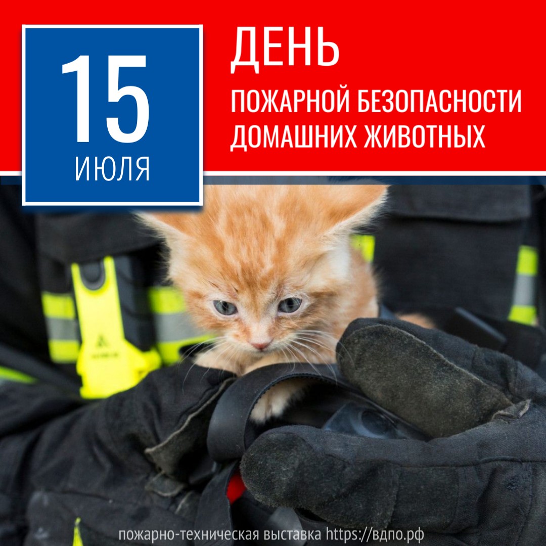 15 июля – День пожарной безопасности домашних животных  15 июля, в некоторых странах мира отмечается необычный праздник – Национальный день......