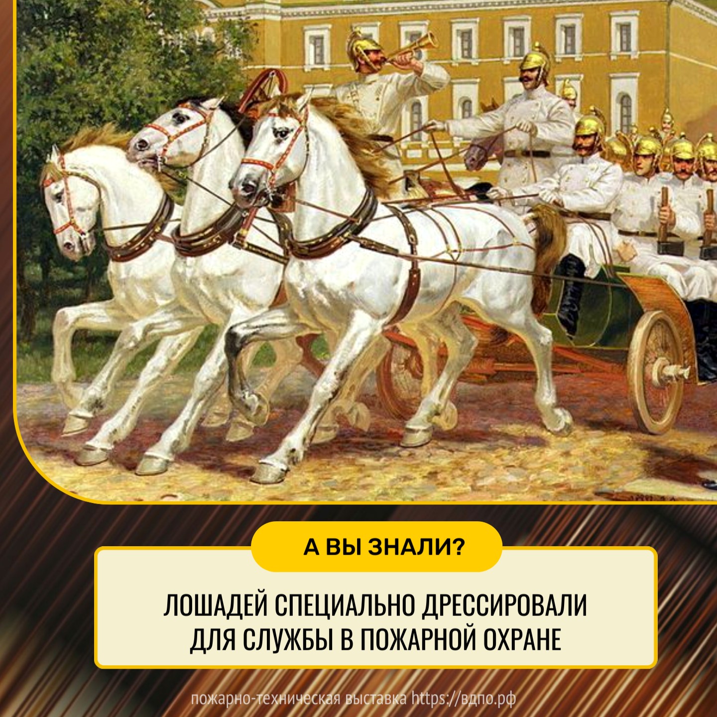 Лошади — двигатель доавтомобильной пожарной службы  В эпоху Российской империи, в XIX – начале XX столетия, пожарные команды зависели от самых......