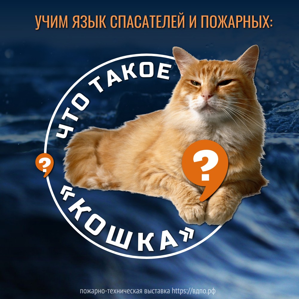 Что такое «кошка»на языке спасателей?  Кошка для спасателей - это не только животное, но и инструмент, предназначенный для поисковых......
