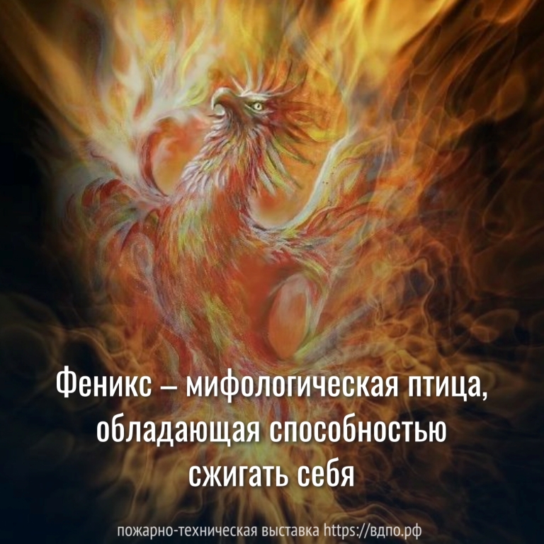 Феникс – мифологическая птица, обладающая способностью сжигать себя  Феникс (греч. - «пурпурный, багряный») – мифологическая птица, обладающая......