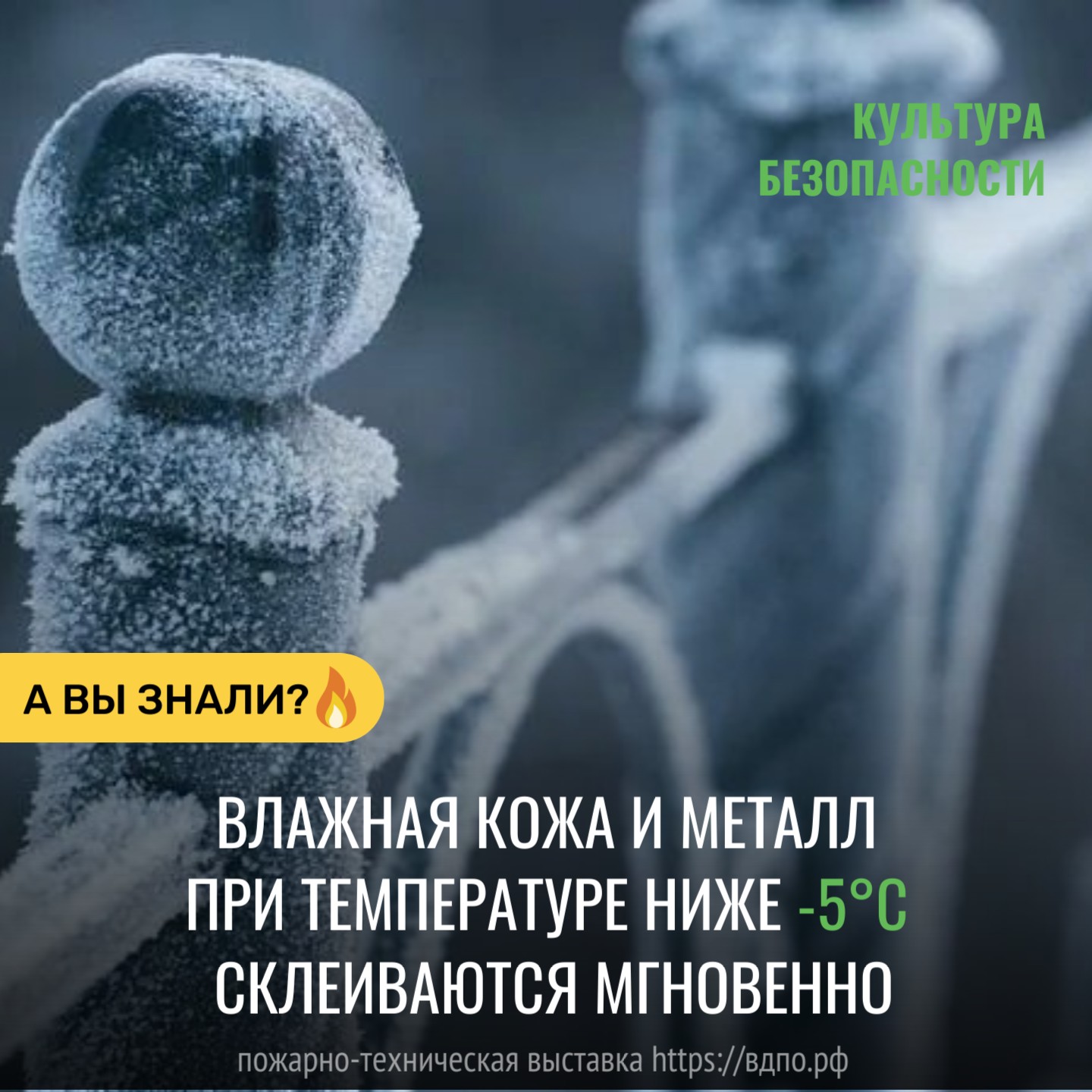 Замёрзший металл – природный клей  Язык, прилипший к металлической качели или турнику, &ndash; не просто детская страшилка. Влажная......