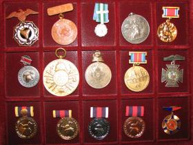 пожарные медали из коллекции Дениса фон Мекка