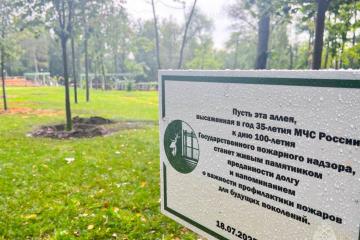 Аллея в честь грядущего 100-летия пожарного надзора