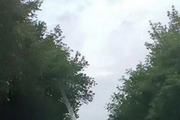 Аллея горноспасателей